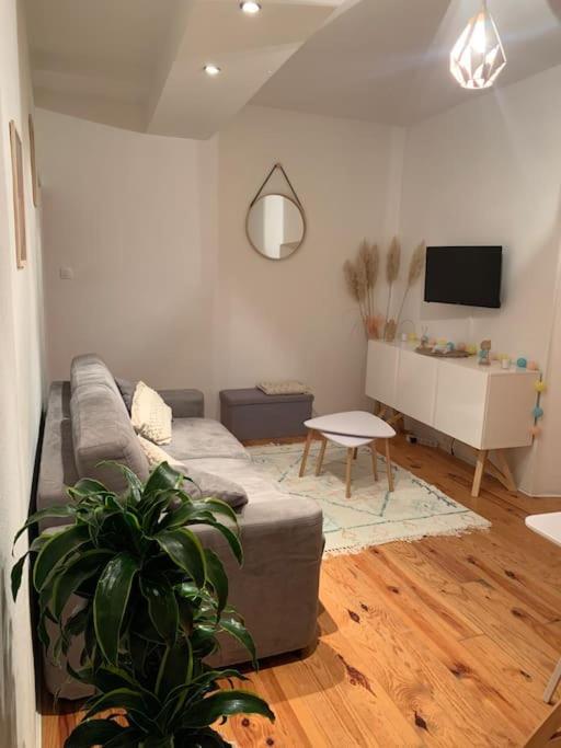 Le Petit Cocon Nimois Apartment Nîmes Exterior photo